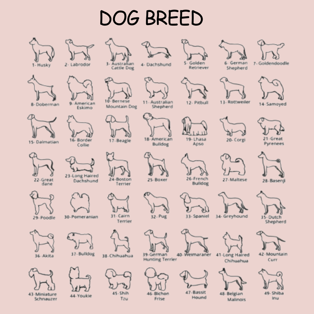 Personalized round puppy pendant engraved name memorial necklace , S925 sterling silver Gold Vermeil, dog engrave name with dog breed design , ,Large Coin Pendant Necklace