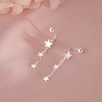 Charm Dangle S925 sterling silver earrings